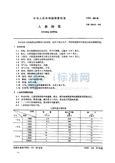 人参种苗