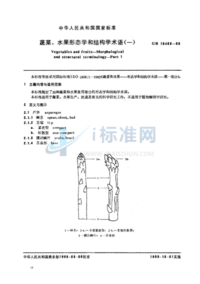 蔬菜、水果形态学和结构学术语（一）