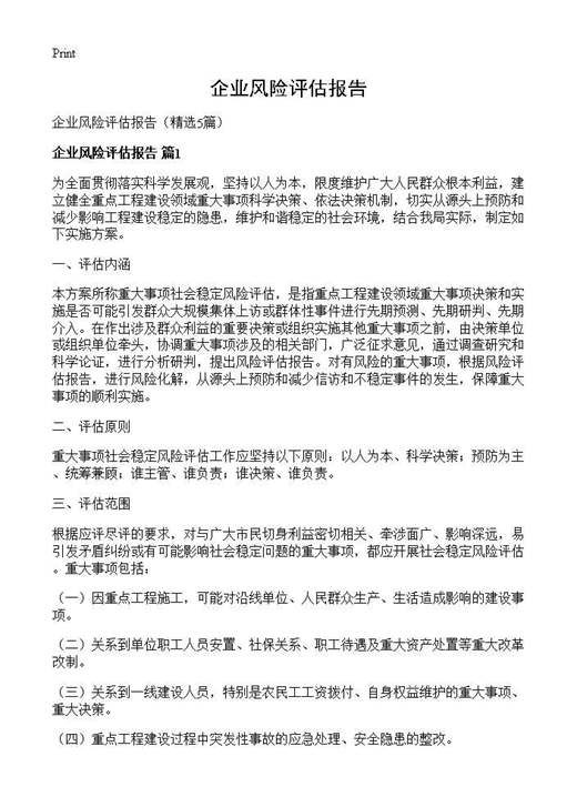 企业风险评估报告