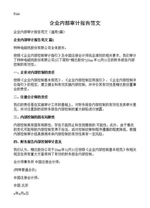 企业内部审计报告范文