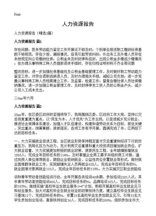 人力资源报告