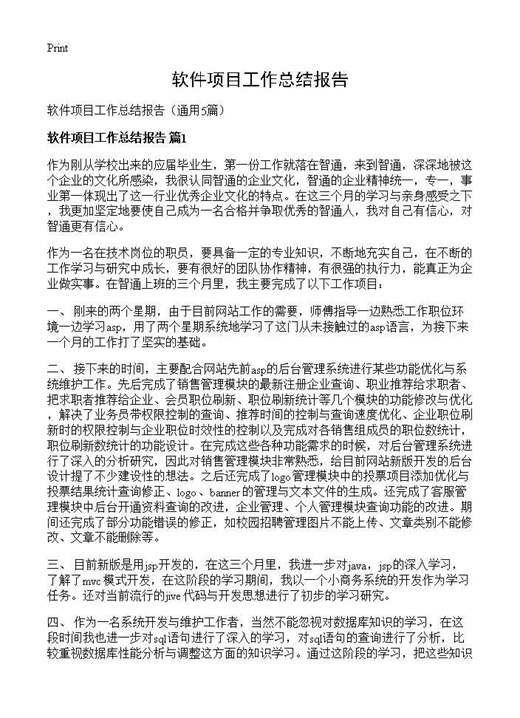 软件项目工作总结报告