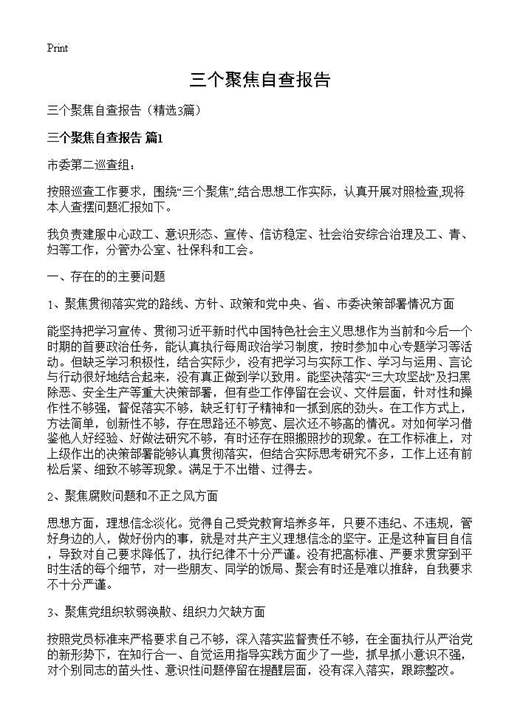 三个聚焦自查报告