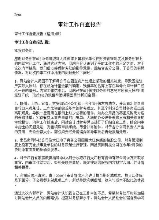 审计工作自查报告