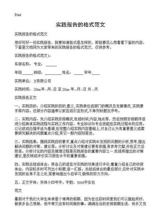 实践报告的格式范文
