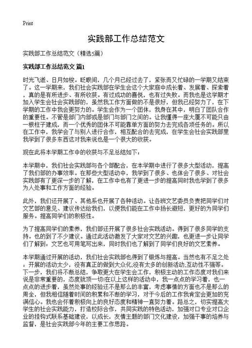 实践部工作总结范文