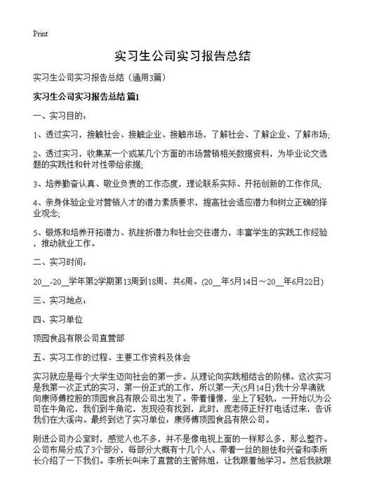 实习生公司实习报告总结