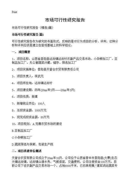 市场可行性研究报告