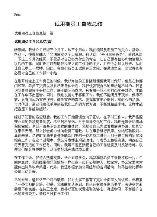 试用期员工自我总结