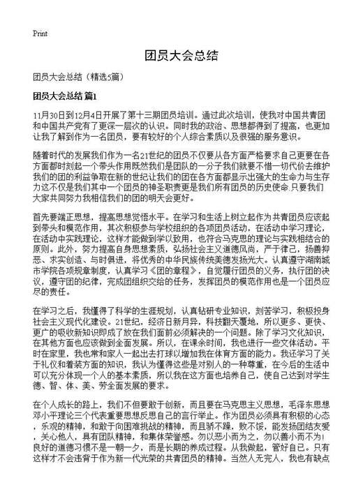 团员大会总结
