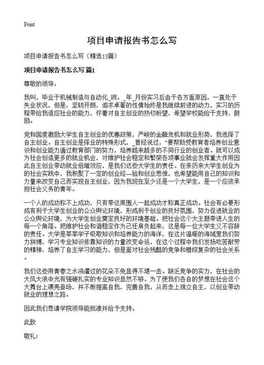 项目申请报告书怎么写