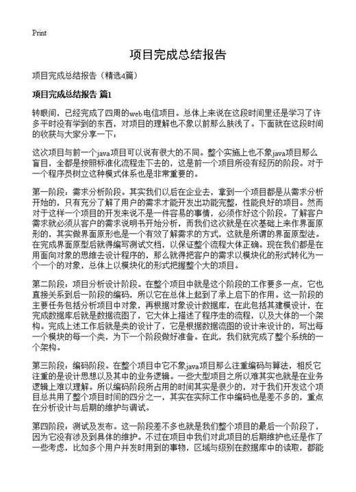 项目完成总结报告