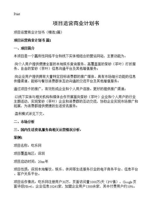 项目运营商业计划书