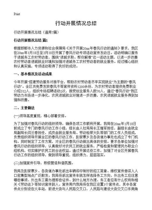 行动开展情况总结