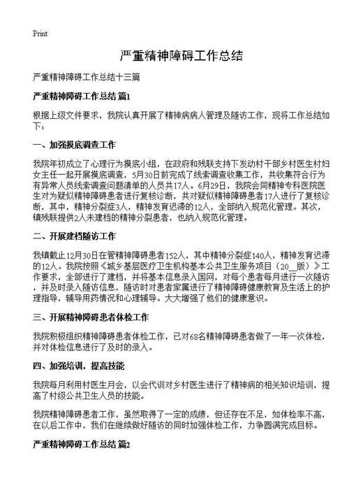 严重精神障碍工作总结