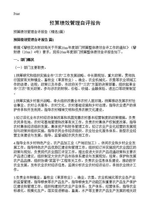 预算绩效管理自评报告