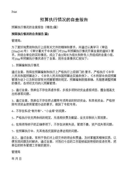预算执行情况的自查报告
