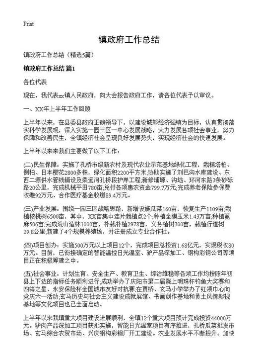 镇政府工作总结