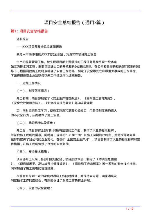 项目安全总结报告