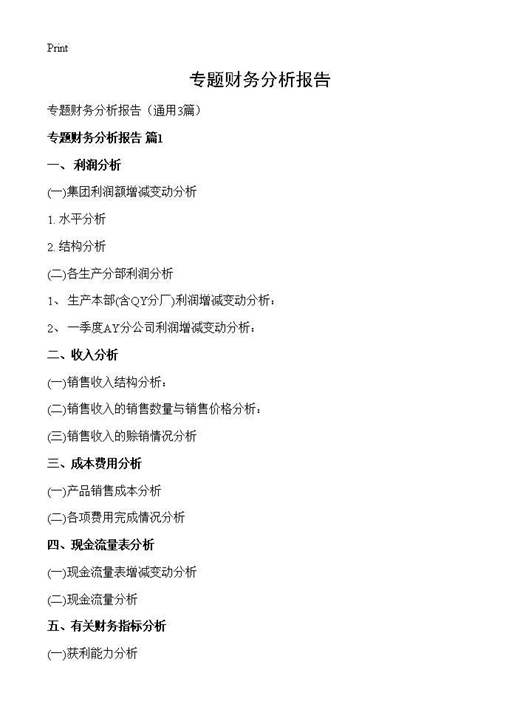 专题财务分析报告