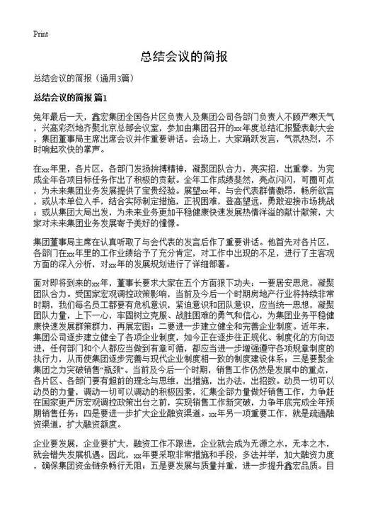总结会议的简报
