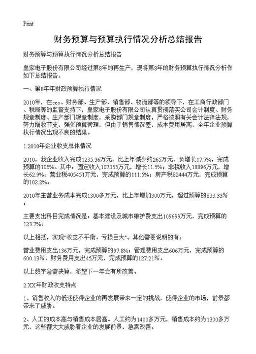 财务预算与预算执行情况分析总结报告