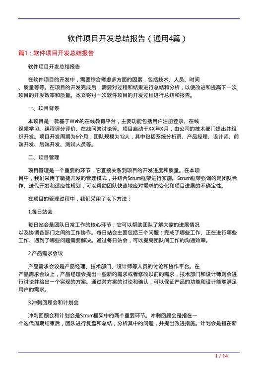 软件项目开发总结报告