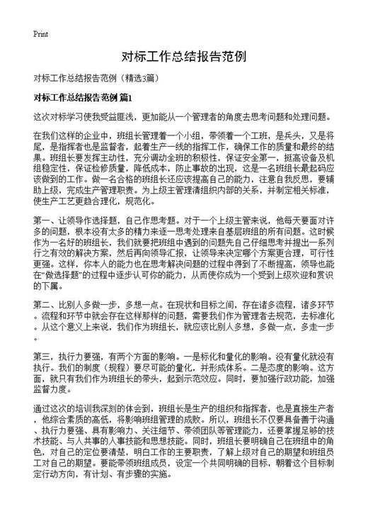 对标工作总结报告范例