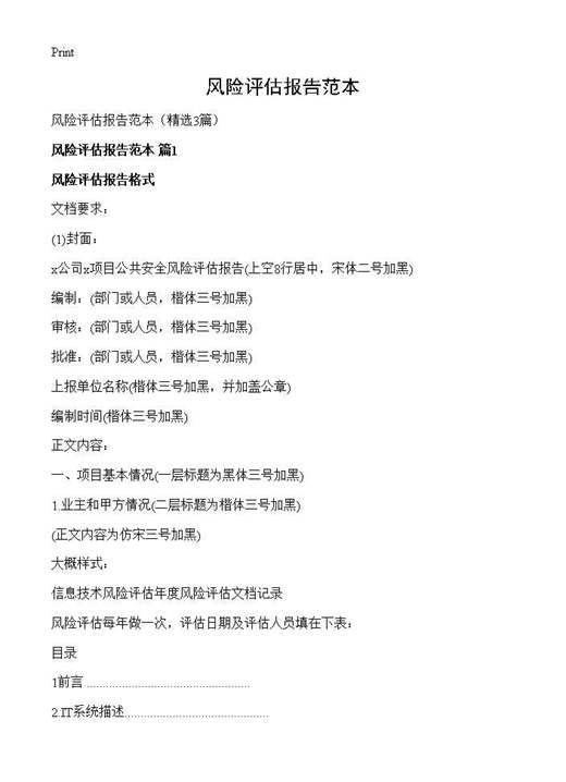 风险评估报告范本