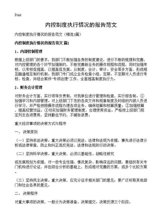 内控制度执行情况的报告范文