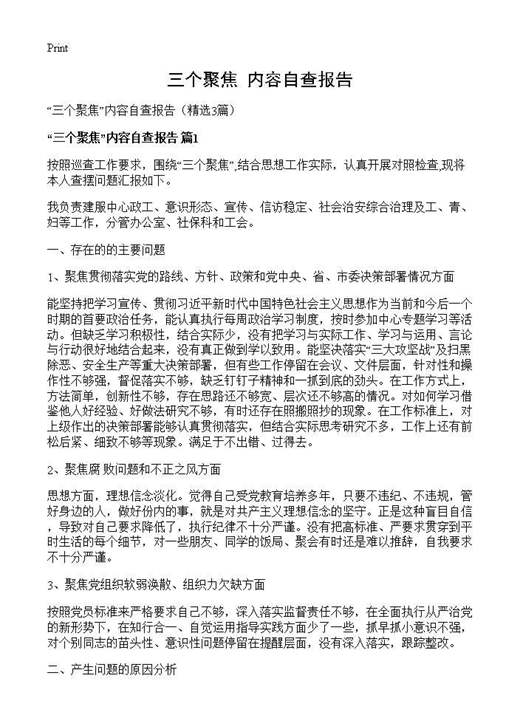 三个聚焦内容自查报告