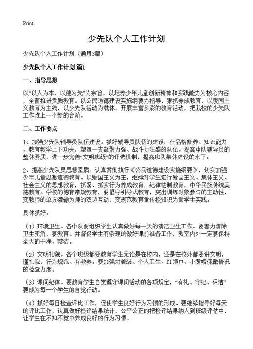 少先队个人工作计划