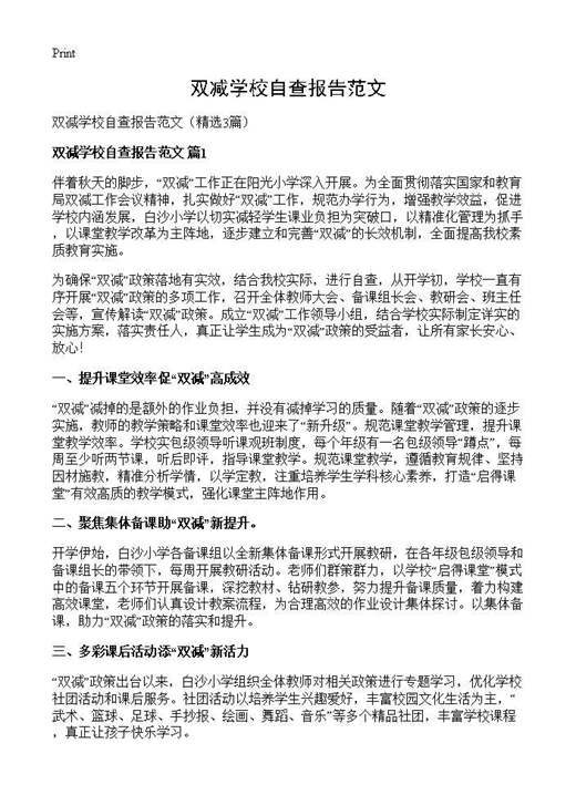 双减学校自查报告范文