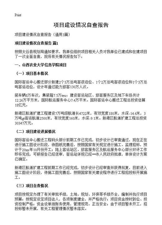 项目建设情况自查报告