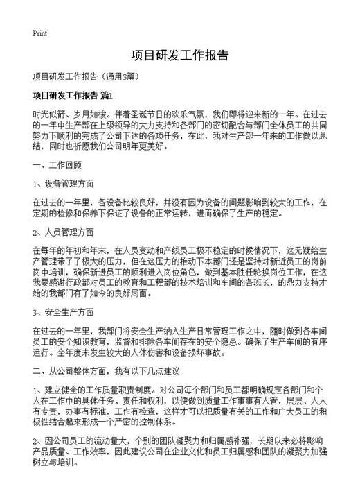 项目研发工作报告