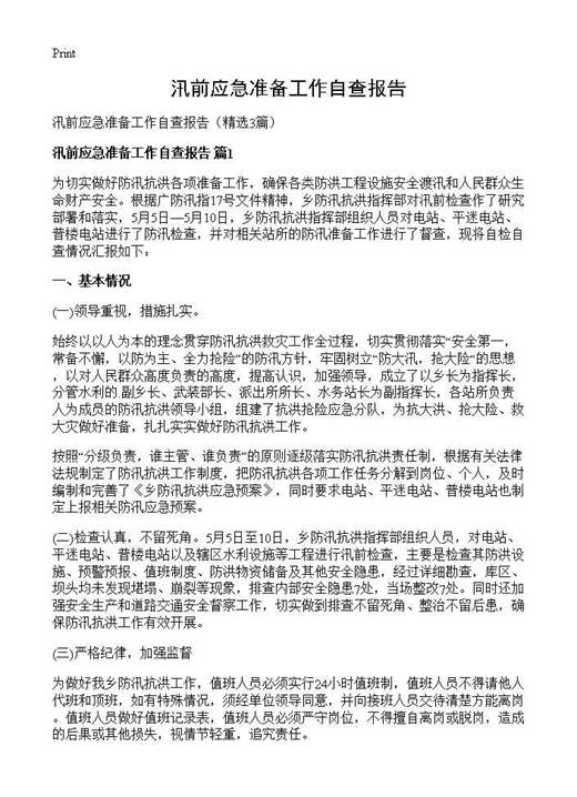汛前应急准备工作自查报告