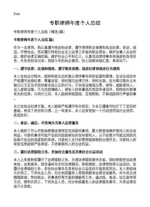 专职律师年度个人总结
