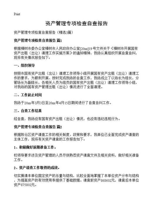 资产管理专项检查自查报告