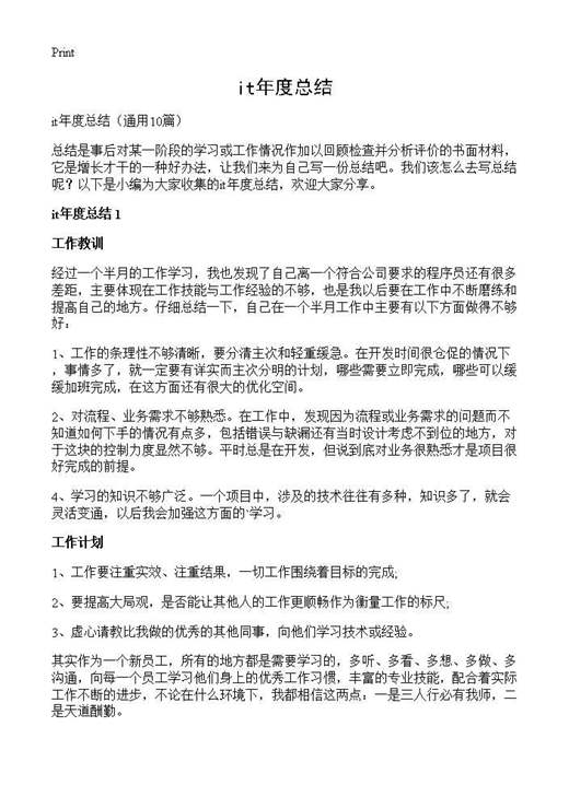 it年度总结