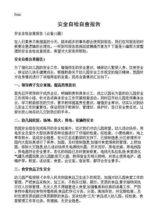 安全自检自查报告