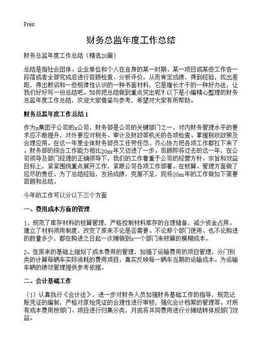 财务总监年度工作总结