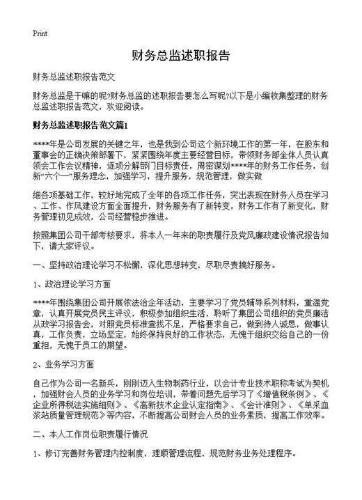 财务总监述职报告