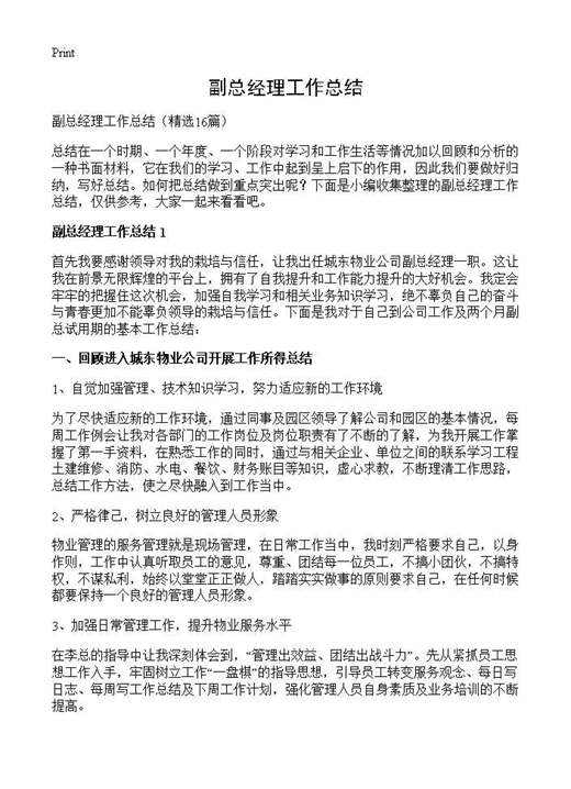 副总经理工作总结