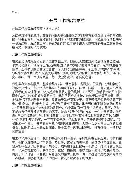 开展工作报告总结