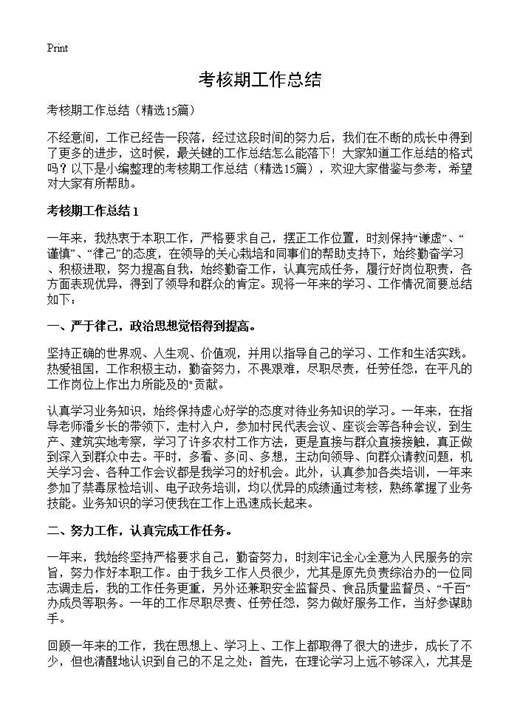 考核期工作总结