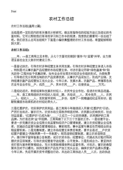农村工作总结
