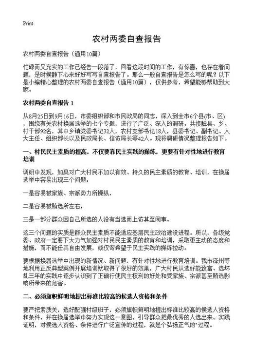 农村两委自查报告