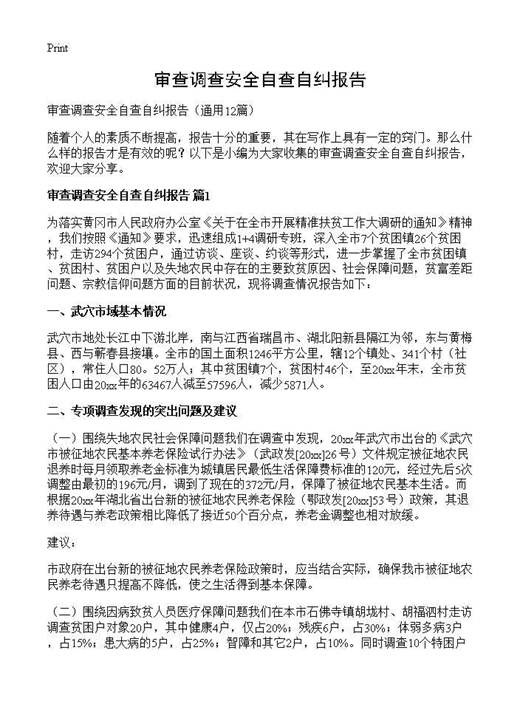 审查调查安全自查自纠报告