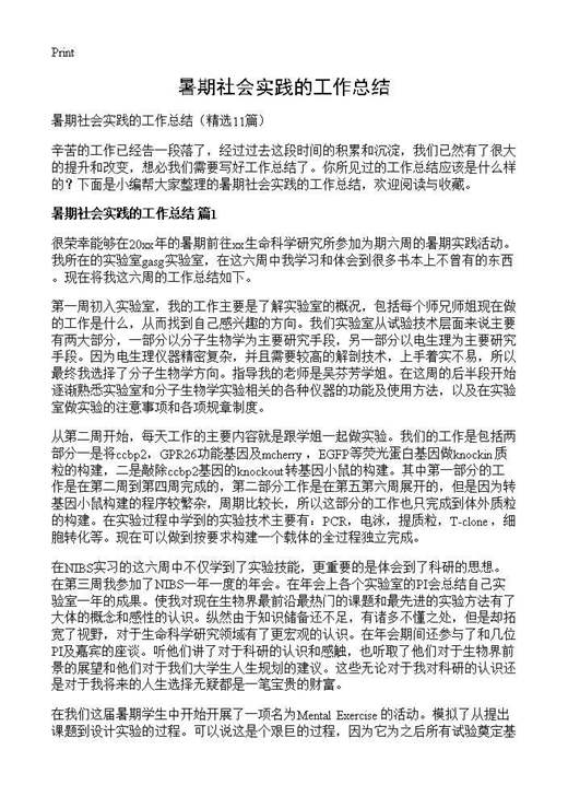 暑期社会实践的工作总结