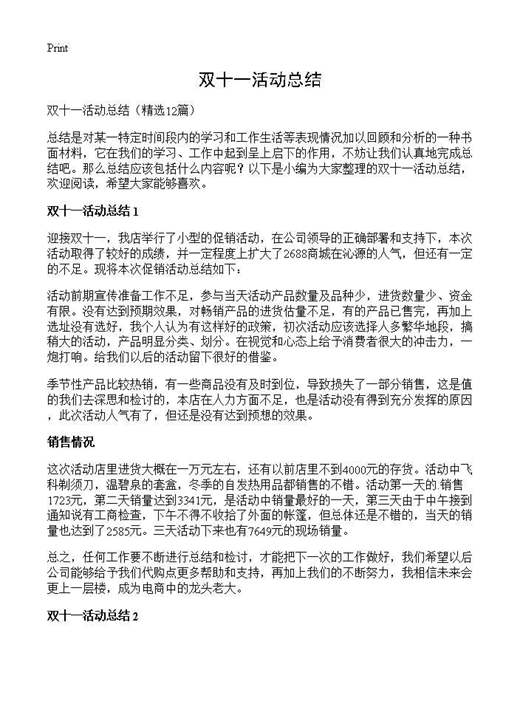 双十一活动总结